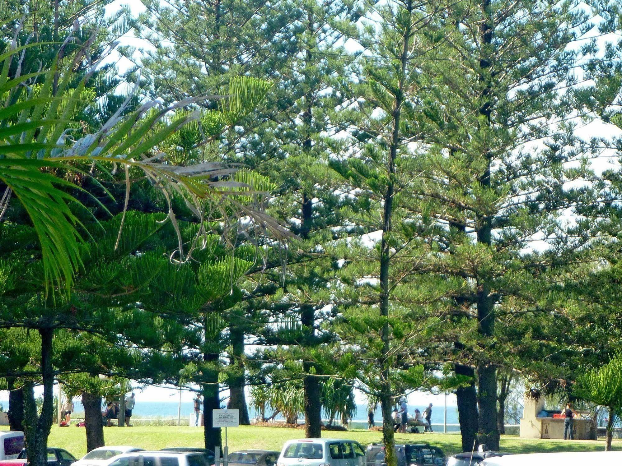 Main Beach Tourist Park 外观 照片